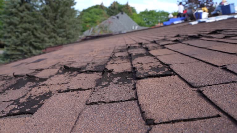  Buckhead Ridge, FL Roofing Service Pros