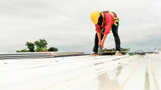 Best Cold Roofs  in Buckhead Ridge, FL